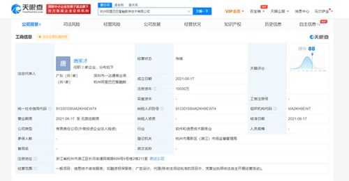 阿里斥資1億成立智融數字公司，拓展信息技術咨詢業務